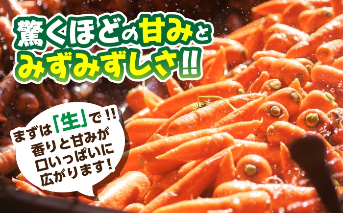 にんじん アロマレッド 翔彩 菊陽にんじん 西洋にんじん ニンジン 人参 野菜 熊本 菊陽