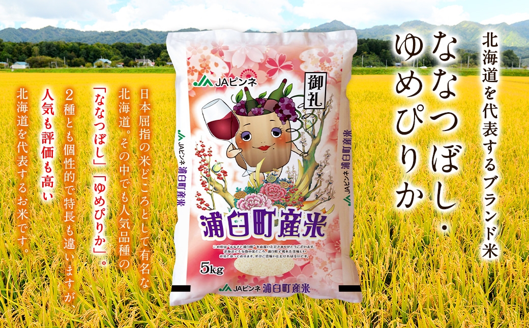 浦臼産 ななつぼし ゆめぴりか 精白米 各5kg （ 計10kg ） 食べ比べセット