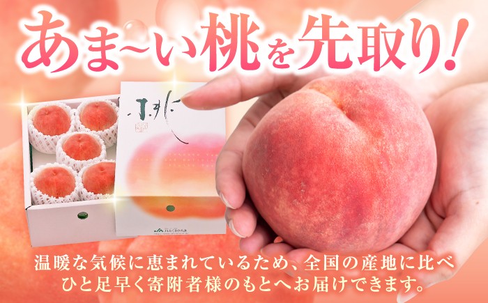 桃 果物 化粧箱 桃 もも モモ 1kg 2kg