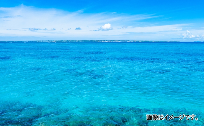 アオサ アーサ あーさ 海藻 乾燥アオサ 乾燥アーサ 国産 小分け 沖縄県産 沖縄県 沖縄市