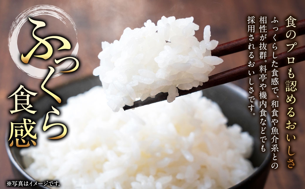 【 3回定期便 】 浦臼産 ふっくりんこ 精白米 5kg
