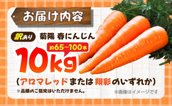 にんじん アロマレッド 翔彩 菊陽にんじん 西洋にんじん ニンジン 人参 野菜 熊本 菊陽