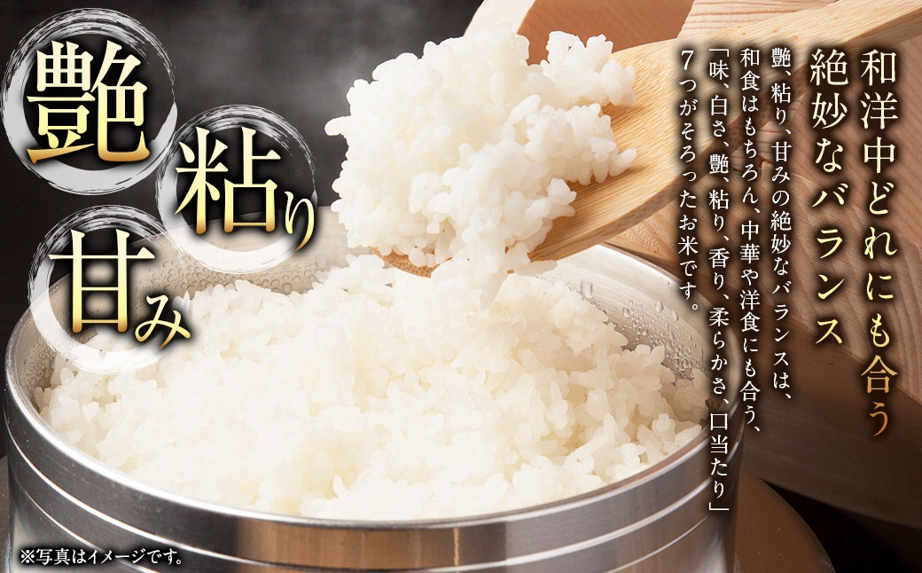 浦臼産 ななつぼし 精白米 5kg