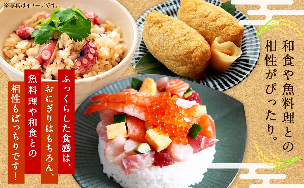 【 2回定期便 】 浦臼産 ふっくりんこ 精白米 5kg