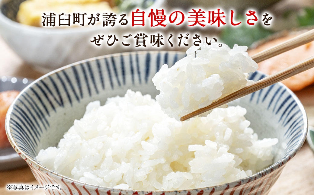 【 6回定期便 】 浦臼産ななつぼし 精白米 5kg