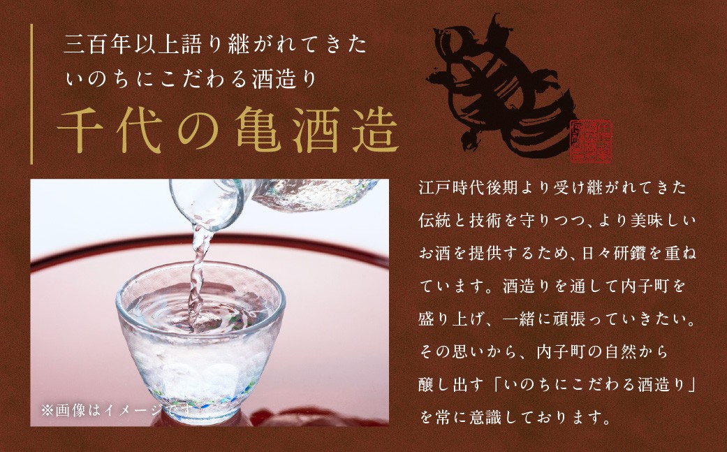 媛酒-himeshu-純米大吟醸 720ml おつまみセット（バラエティギフト8点セット）