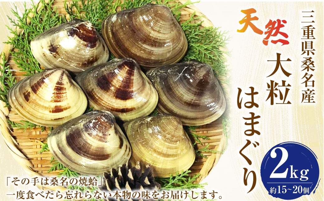 マルヨシ水産 桑名産大粒天然蛤 2kg