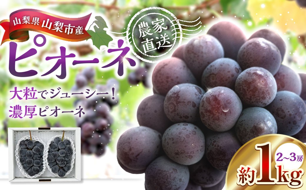 山梨県山梨市産ピオーネ 約1kg
