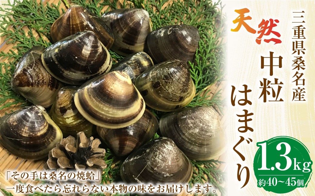 マルヨシ水産 桑名産中粒天然蛤 1.3kg