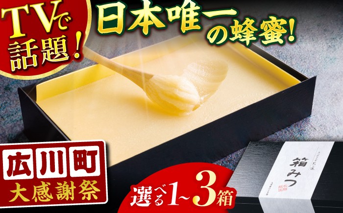 箱みつ ハチミツ はちみつ 蜂蜜 ハニー