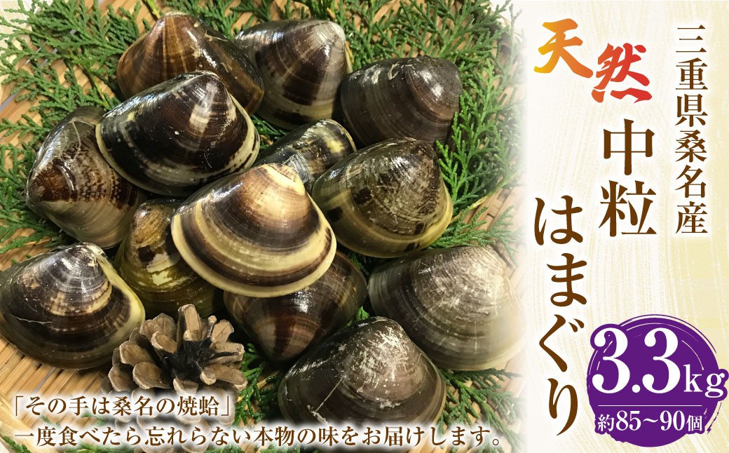 マルヨシ水産 桑名産中粒天然蛤 3.3kg