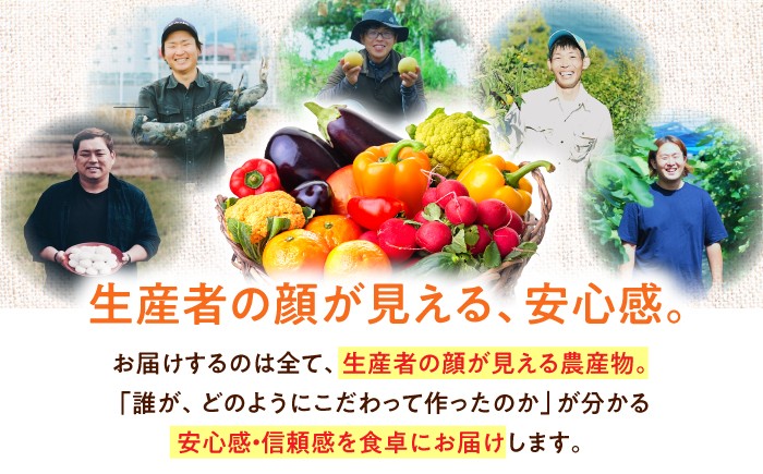 毎回ちがう旬の農産物定期便