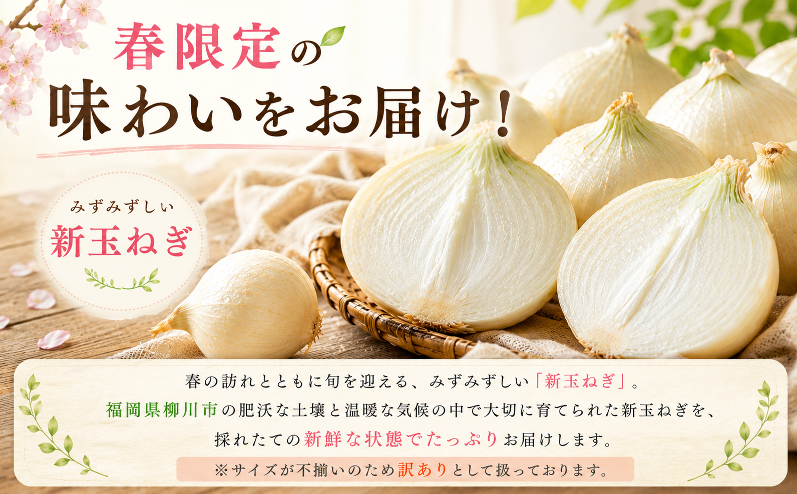 【先行予約】【訳あり】たなか農産の柳川産新玉ねぎ 約5kg