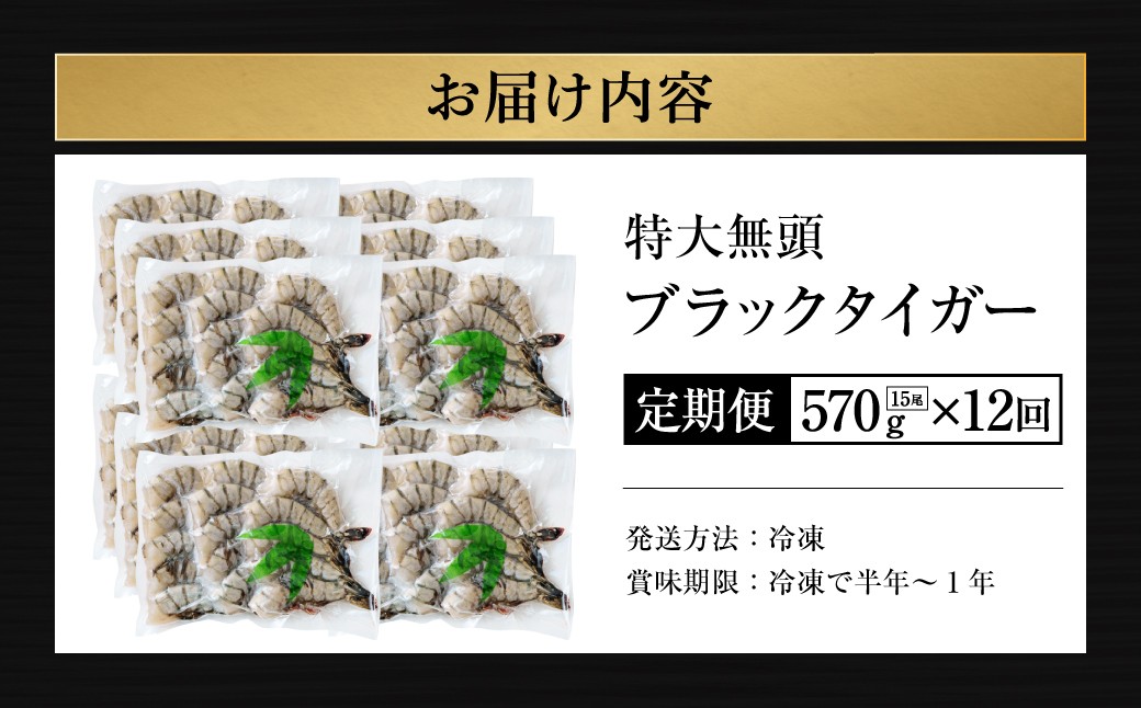 【12回定期便】特大 ブラックタイガー 無頭えび｜ 海老 えび エビ ブラックタイガー 海鮮 魚介 殻付き 冷凍 大阪府 阪南市