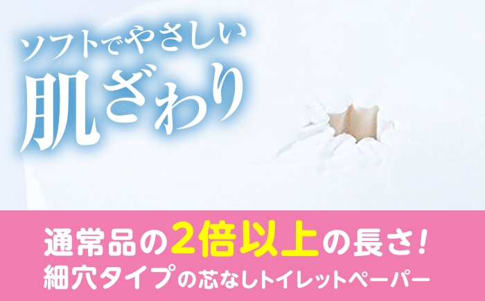 細穴 トイレットペーパー ダブル 24ロール 65m 6ロール 4パック コアレス 備蓄 防災 日用品 消耗品 常備品