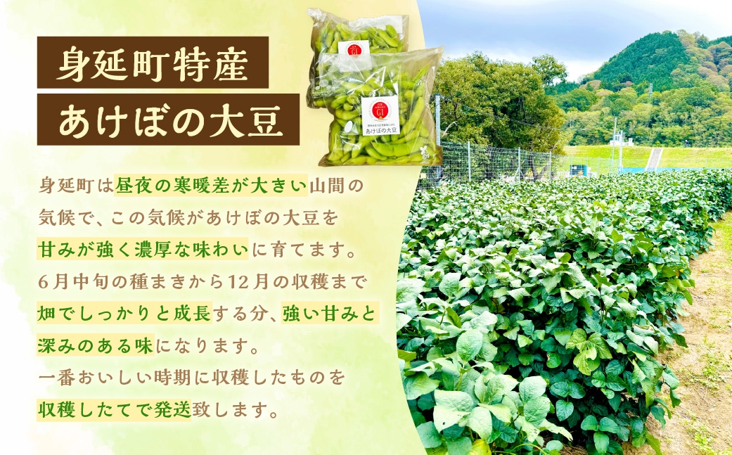 幻の大豆身延町特産あけぼの大豆約300g×2袋×2箱