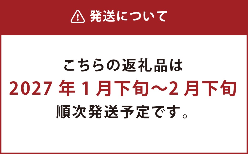 熊本市産 種ごと 丸ごと きんかん 約1.8kg