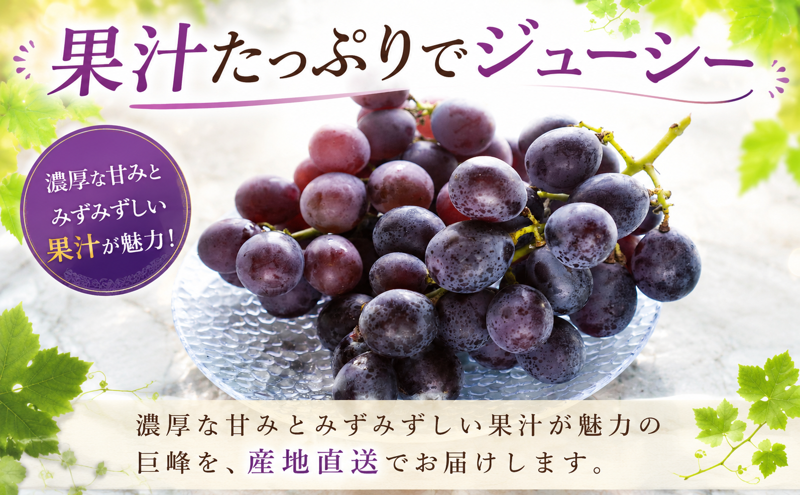 巨峰 300g×8パック 合計約2.4kg