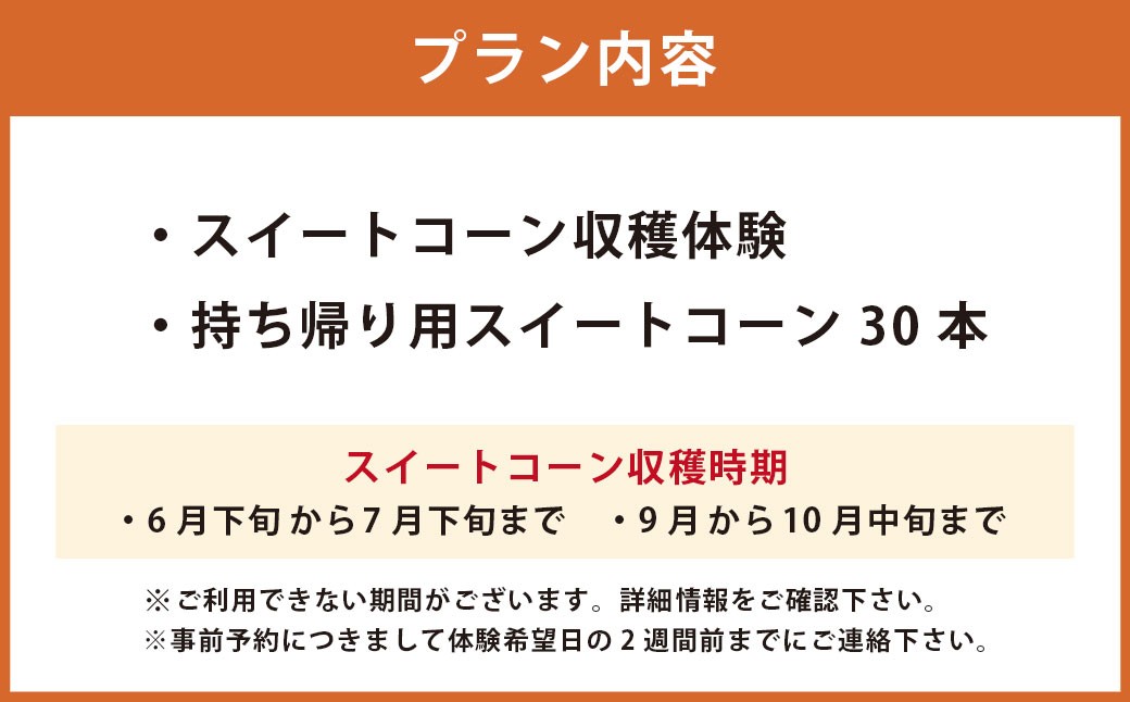 F6 アッキーファーム スイートコーン収穫体験（スイートコーン30本込み）