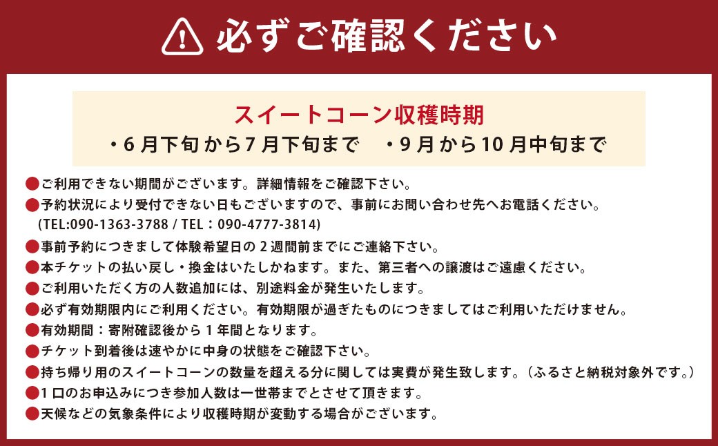 F4 アッキーファーム スイートコーン収穫体験（スイートコーン10本込み）