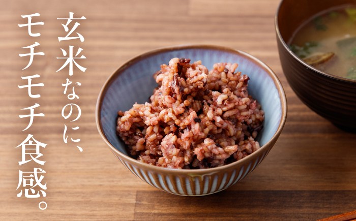 玄米 黒米 パックご飯 米