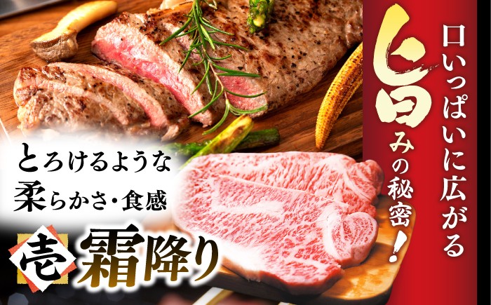 長崎和牛 和牛 国産 牛肉 