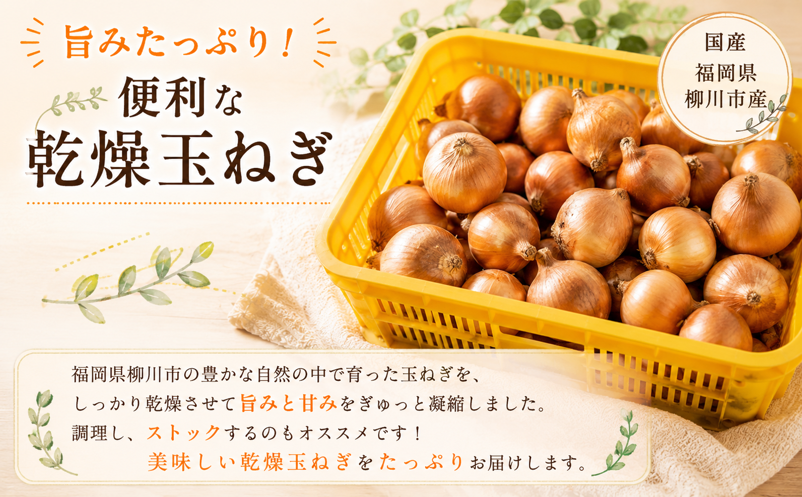 【先行予約】【訳あり】たなか農産の柳川産新玉ねぎ 約5kg