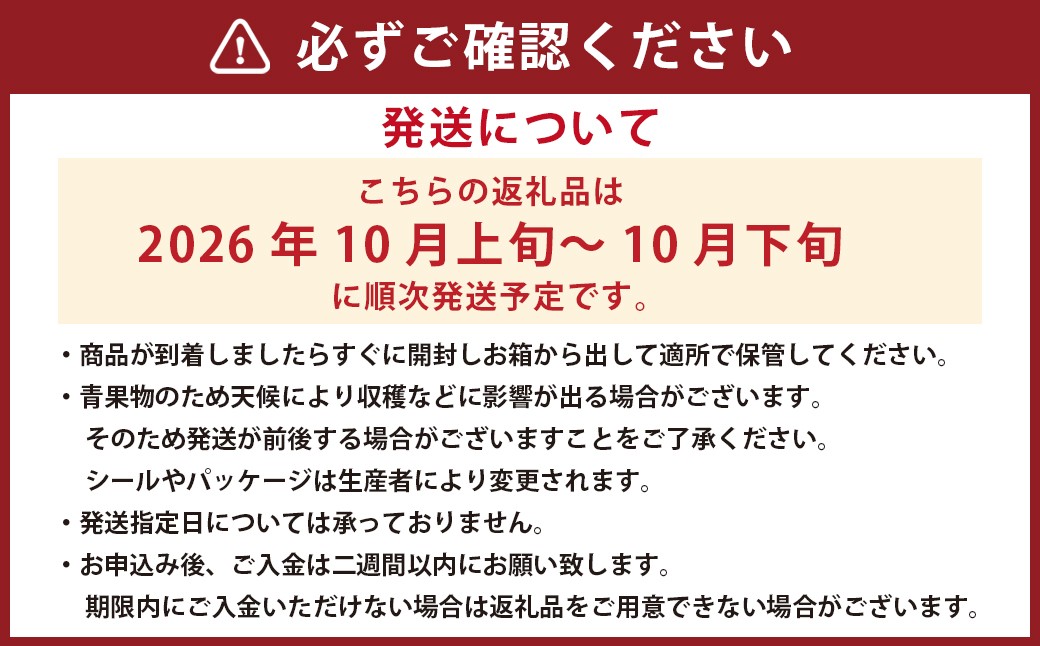 熊本産 あけび 約3kg 10～15玉入り