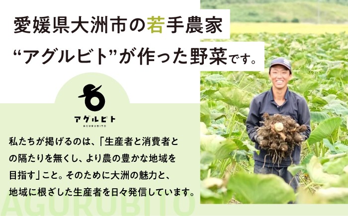 毎回ちがう旬の農産物定期便
