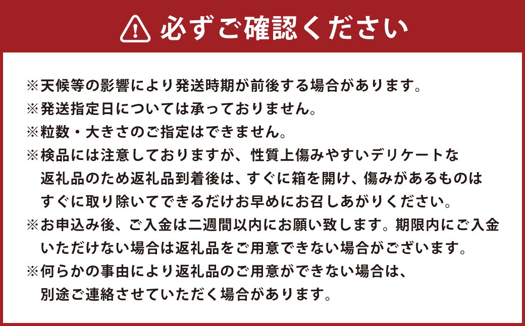 みかん 【規格外品】ご家庭用 約6kg サイズ不選別