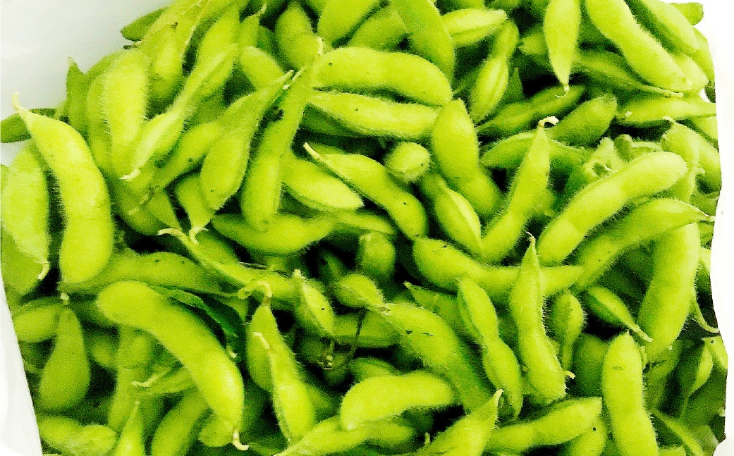 幻の大豆身延町特産あけぼの大豆大袋約1kg