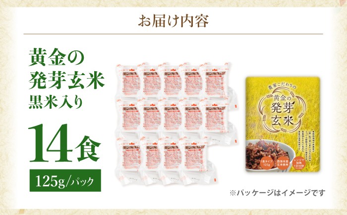 玄米 黒米 パックご飯 米