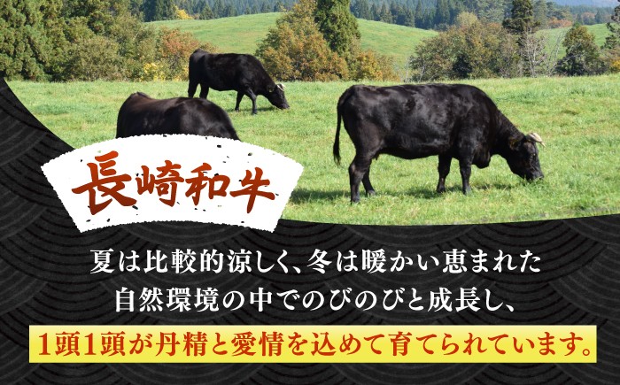 長崎和牛 和牛 国産 牛肉 