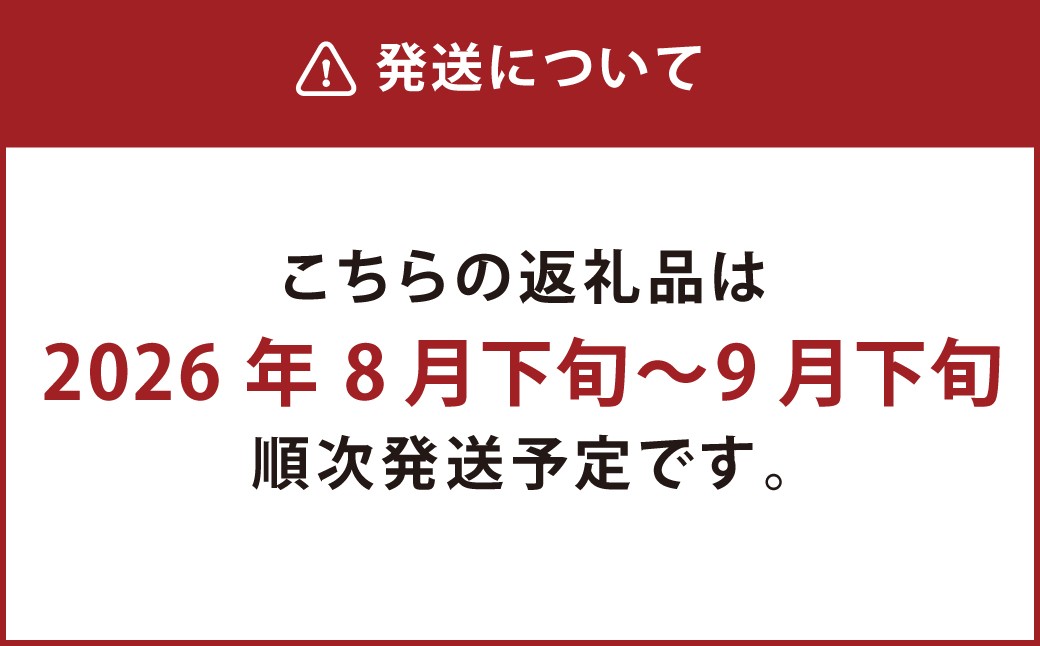 熊本市産 芳野梨 旬の品種 5kg