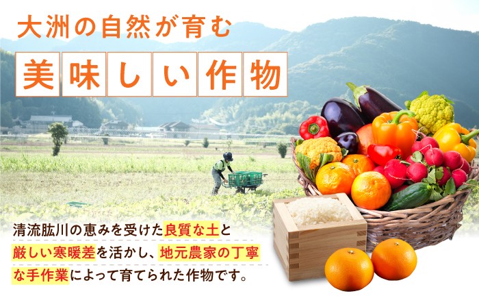毎回ちがう旬の農産物定期便
