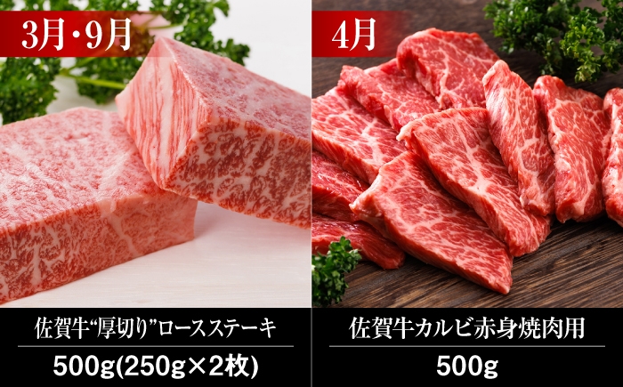 自宅での食事を豪華に彩る、A4 A5ランクの佐賀牛 牛肉 定期便 佐賀牛 食べ比べ