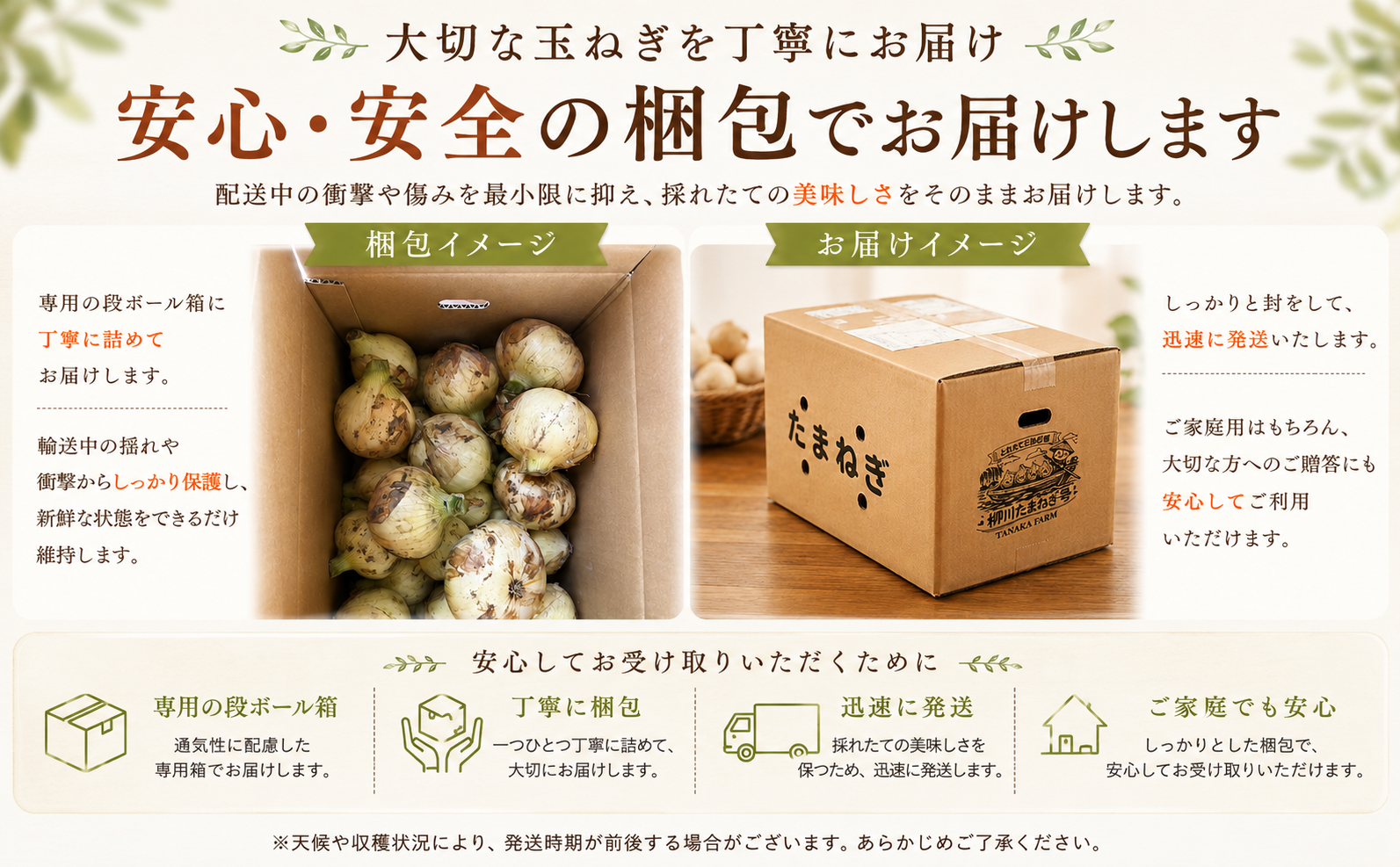 【先行予約】【訳あり】たなか農産の柳川産新玉ねぎ 約5kg