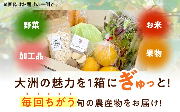 毎回ちがう旬の農産物定期便