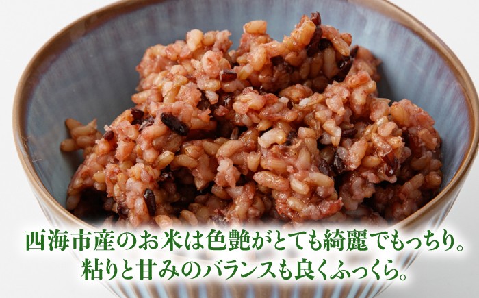 玄米 黒米 パックご飯 米