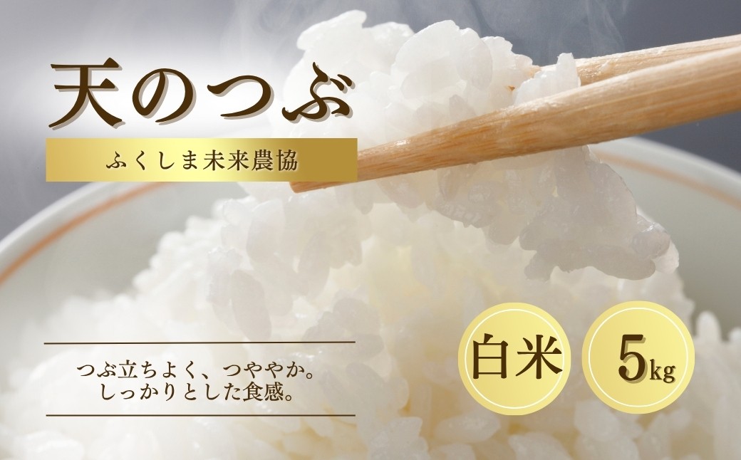 【先行予約】白米 5kg 天のつぶ 令和7年産 | 精米コメ ごはん ブランド米 大粒 福島 福島県産 ふくしま未来農協 JA