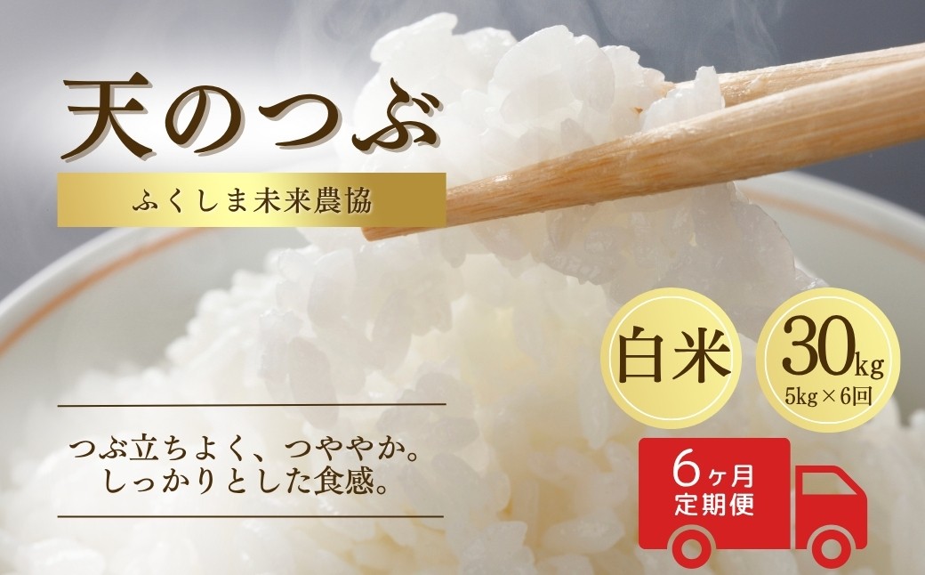 【定期便】令和7年産 南相馬市産天のつぶ5kg×全6回　ふくしま未来農協
