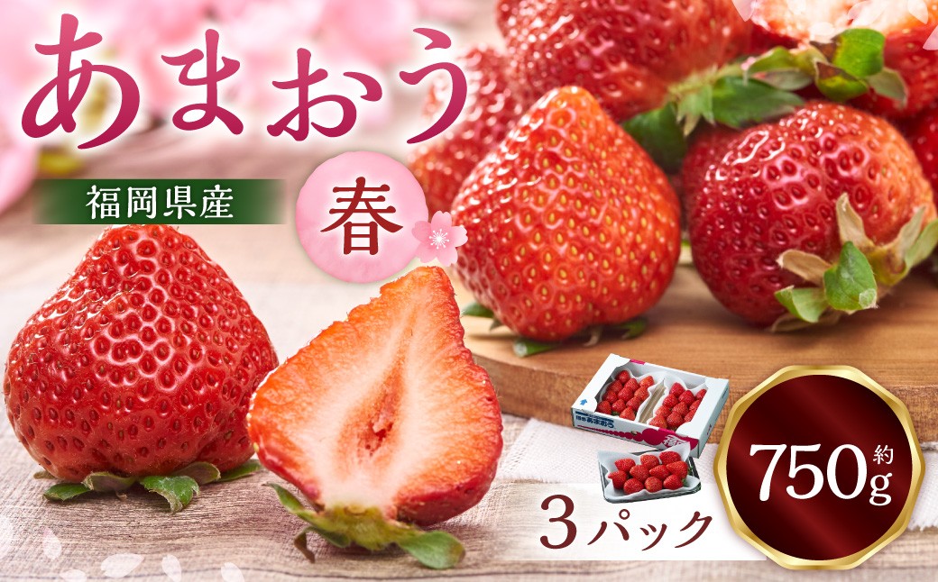 福岡産【春】あまおう3パック 