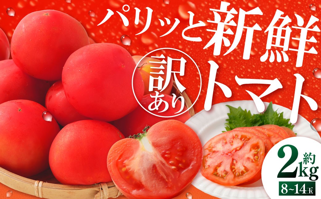 訳ありトマト 8～14玉（約2kg）