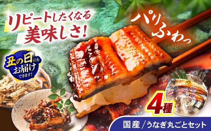 まるごとセット うなぎ ウナギ 鰻 蒲焼き 蒲焼 白焼き 白焼 国産 冷凍 小分け うな重 うな丼 ひつまぶし