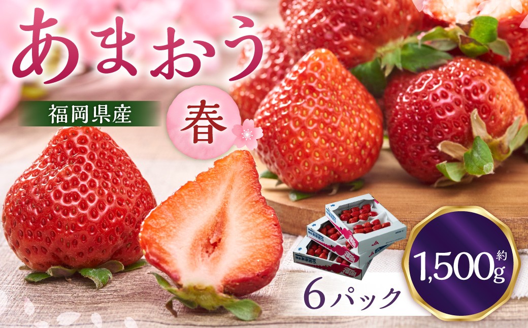 福岡産【春】あまおう6パック 