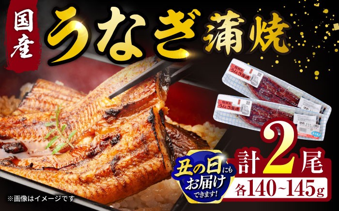 福田屋食品うなぎ蒲焼2尾(真空パック)  鰻 うなぎ ウナギ 国産 蒲焼 かばやき うな重 うな丼 ひつまぶし