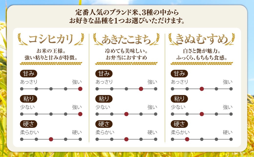 子育て応援米 奈義町産米 BG無洗米 （ きぬむすめ ） 5kg