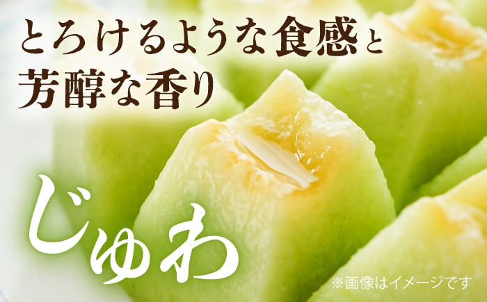 肥後グリーンメロン2玉 / メロン 熊本 めろん フルーツ 果物 ジューシー 家族 ご褒美