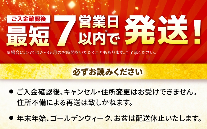 牛肉 肉 黒毛和牛 佐賀牛 和牛 佐賀 牛 A4 国産 料理 焼肉 冷凍 保存 ヒレ ヒレステーキ スピード配送