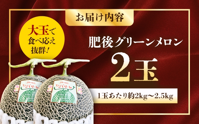 肥後グリーンメロン2玉 / メロン 熊本 めろん フルーツ 果物 ジューシー 家族 ご褒美